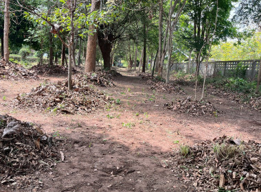 กิจกรรม “บ้านเมืองสะอาด บูชาคุณย่าโม” พารามิเตอร์รูปภาพ 2